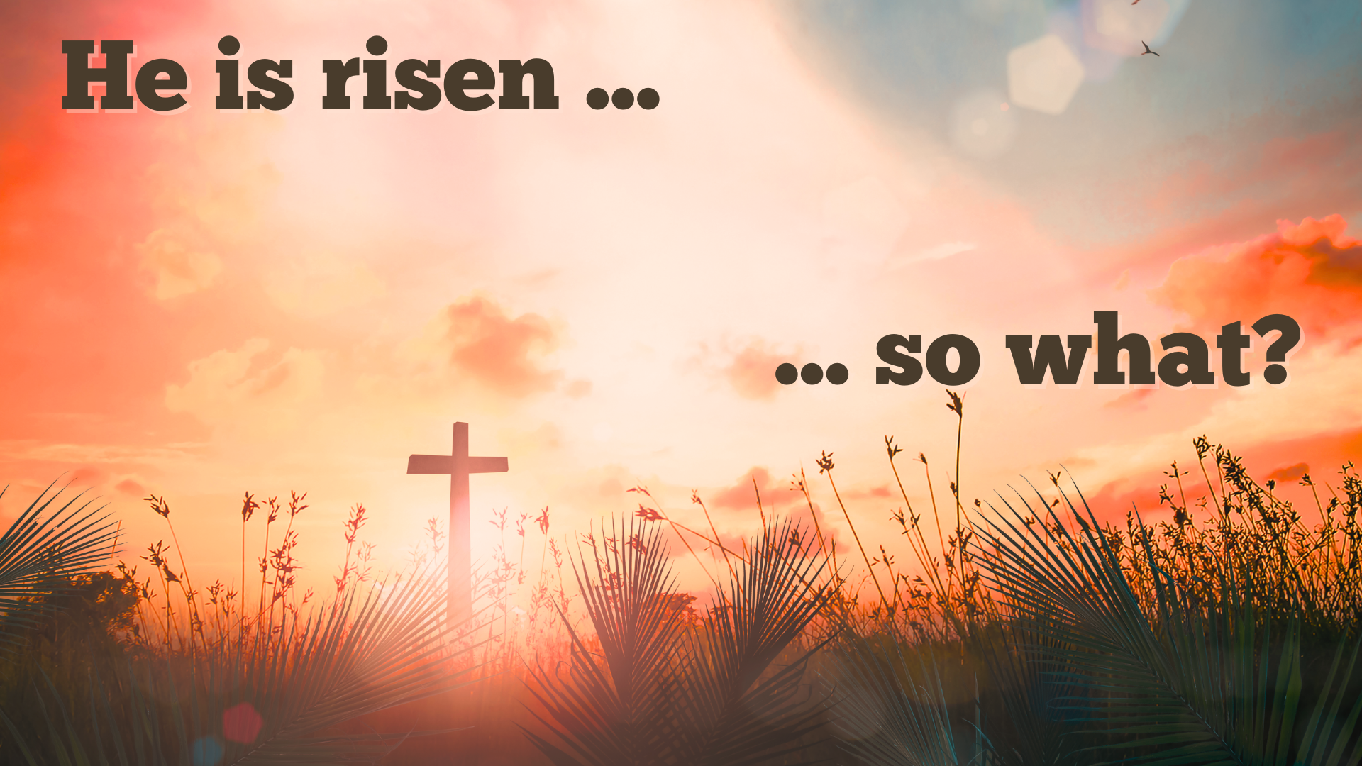 Easter: He is Risen....So What?